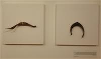 Mohammadreza Shahrokhi Nejad- I will brake your Horn